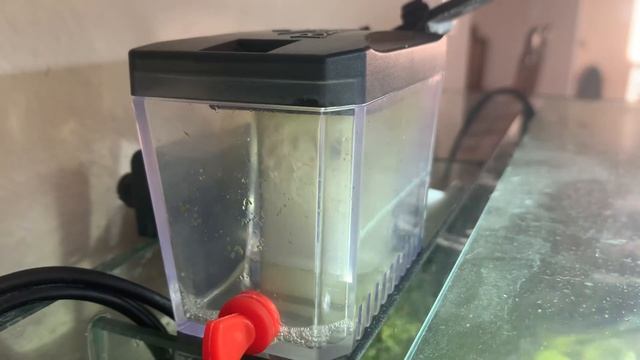 New Bubble Magus MiniQ Protein Skimmer смотреть онлайн