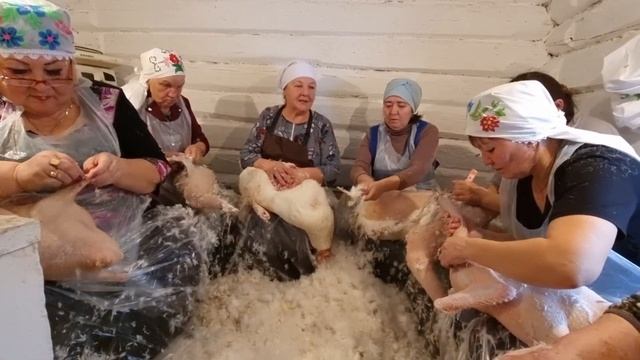 Байлангар авылында Ашрабзяновлар гаиләсендә каз өмәсе. #Казөмәсе #Байлангар #кукморскийрайон смотреть онлайн