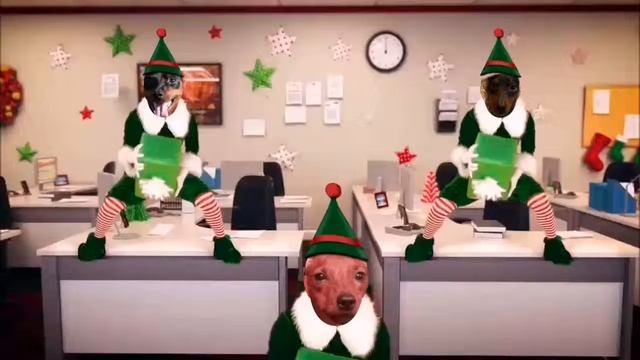 Цвергпинчеры! Группа в контакте Пинчер и Ко