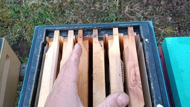 Работа с нуклеусами "мини +" Важные особенности зимовки. смотреть онлайн