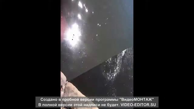 Друзья,весело,река томь смотреть онлайн