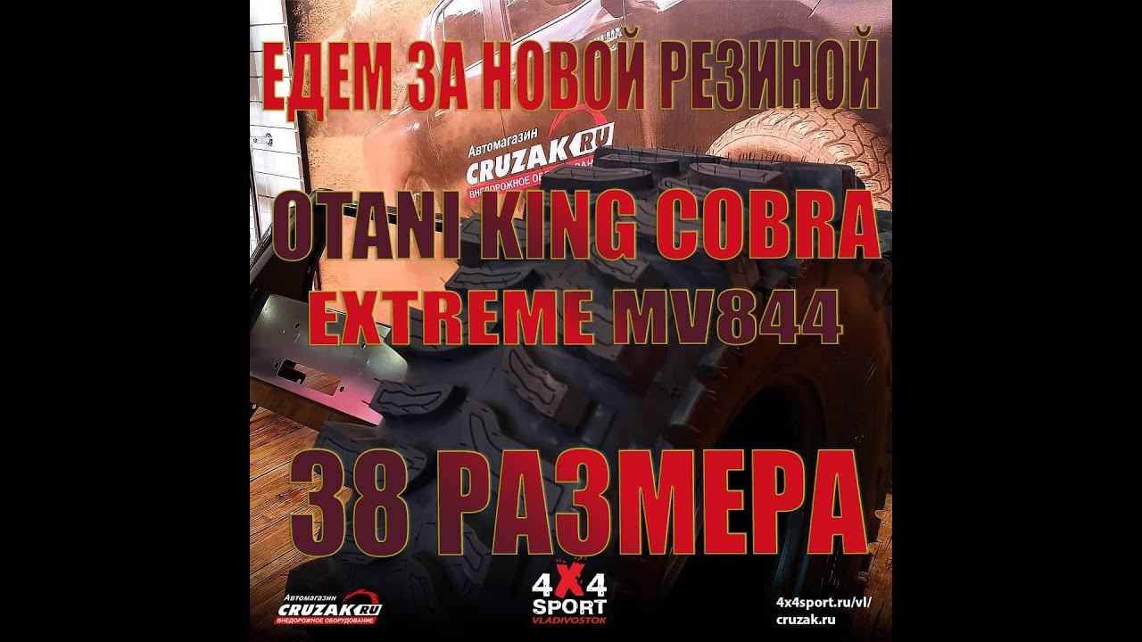 Кобры 38. Едем за Otani King Cobra Extreme Mv844  |  Ванино