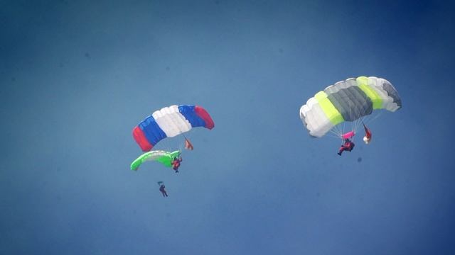 О сбережении лесных ресурсов России смотреть онлайн