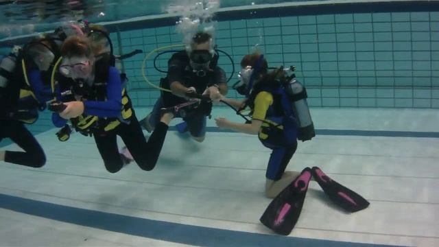 Masterseal 2012 Les Twee