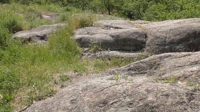 Опять прогулка на Днепр. Но вдвоём. Запорожье 8.6.2023. смотреть онлайн