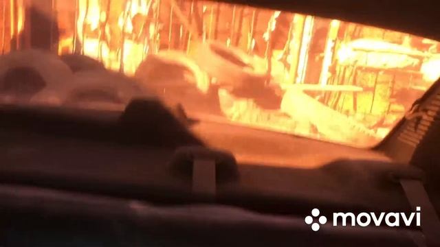 Купил Логан под Восстановление Челита часть 1 смотреть онлайн