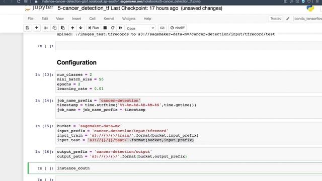 Amazon Sagemaker 23 : Modelling using custom tfScript @manralai смотреть онлайн