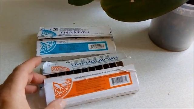 Как быстро восстановить тургор листьев у Фаленопсиса ? смотреть онлайн