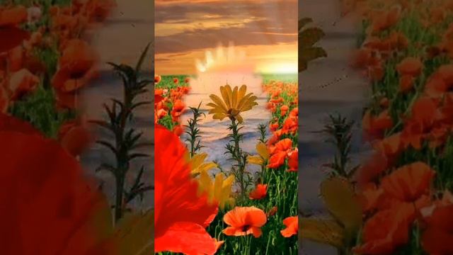Красивая мелодия для души смотреть онлайн