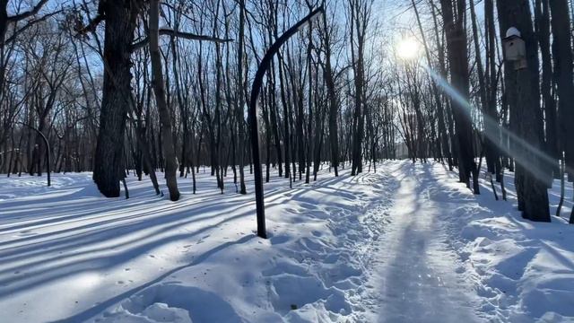 Уфа, прогулка, солнце, воздух и 22 февраля 2024 смотреть онлайн