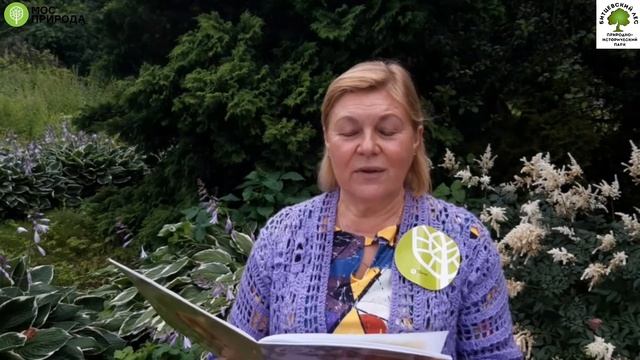 Читаем сказку В. Чаплиной – Как лиса в лесу живёт смотреть онлайн