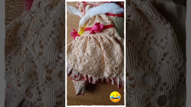Rabbit Sleep In Bed#trending #shorts #youtubeshorts #viral смотреть онлайн
