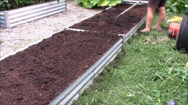 How To Grow Fall Broccoli | Green Magic In The Raised Bed Garden смотреть онлайн