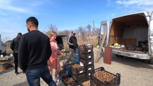 Станица Старотитаровская / жизнь и переезд на ПМЖ на юг в Краснодарский край.  КРАСНОДАР