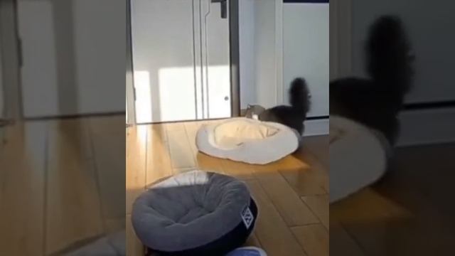 Лучше там, где потеплее смотреть онлайн