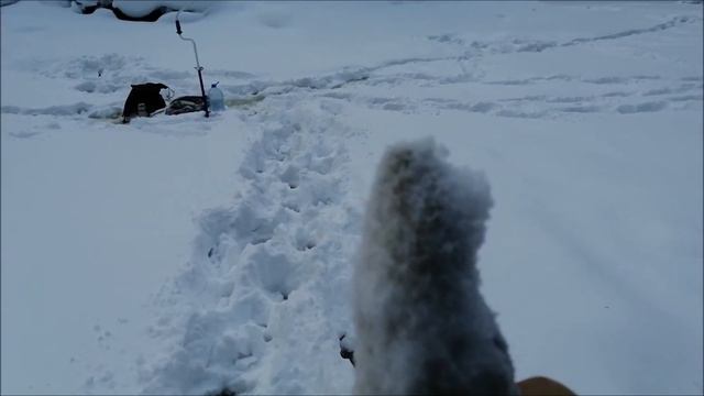 Рыбалка на жерлицы в глухозимье. Февраль 2022. смотреть онлайн