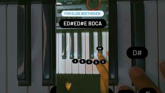 Für Elise - Beethoven (Piano Tutorial)#furelise #furelise #beethovenpiano #easypianotutorial смотреть онлайн
