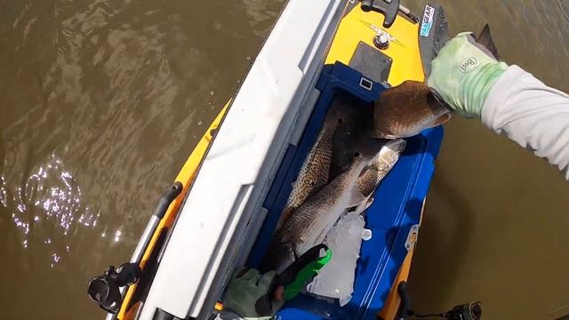 SIGHT CASTING REDFISH in Louisiana | MOTHERSHIP @ PAC KAYAK RENTALS смотреть онлайн
