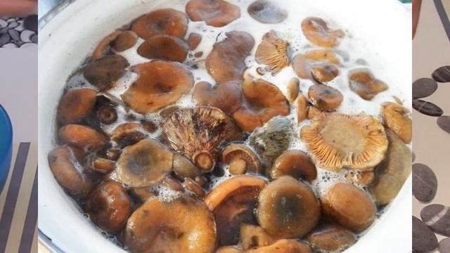 ЗАСОЛКА РЫЖИКИ НА ЗИМУ ГОРЯЧИМ СПОСОБ смотреть онлайн