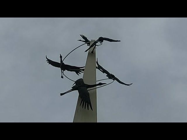 Звучит песня Журавли. Мемориал Славы на Самбекских высотах смотреть онлайн