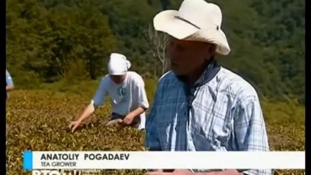 tea 1 смотреть онлайн