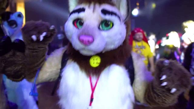 Фурри Further Confusion 2018