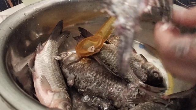 Как легко снять чешуйки с рыбы!! смотреть онлайн