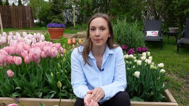 How to Harvest, Condition, and Store Tulips // Dry Storing Tulip Flowers with Visuals // Northlawn смотреть онлайн
