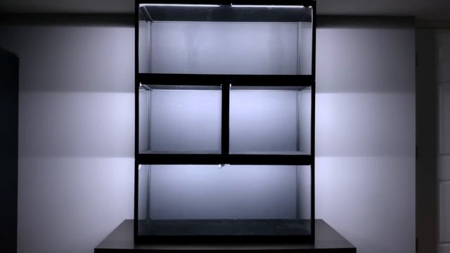 BEST STATUE DISPLAY CASE?! ? ModuCase : Sixth Series Review Showcase смотреть онлайн