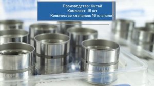 Гидрокомпенсаторы INA на 16кл ВАЗ 2110-2112, 2114, Калина, Приора, Гранта | MotoRRing.ru