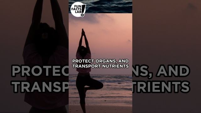 Drink Up! The Importance of Staying Hydrated #shorts #funfacts #water #drink #nutrition #health смотреть онлайн