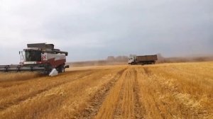 Уборка Октябрь Акрос 580