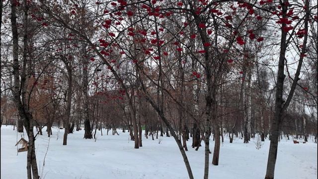 Как найти свою вторую половинку. Часть 5. смотреть онлайн