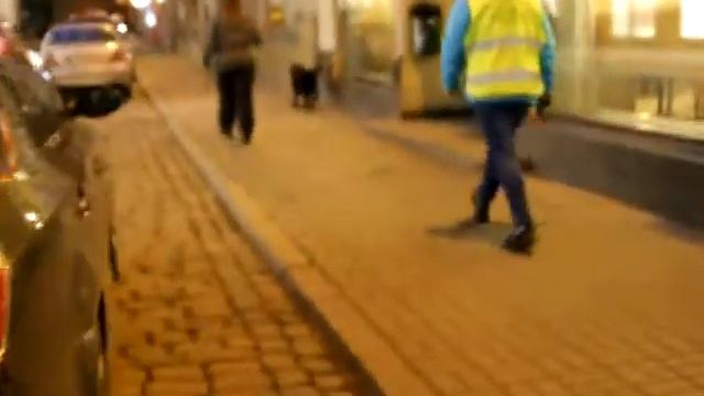 09.04.2013 Stockmann, Labrador Ted