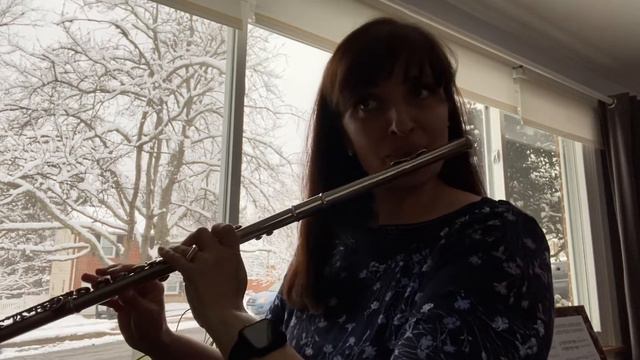 Louis Drouet: 25 Etudes for the Flute - No. 5 смотреть онлайн