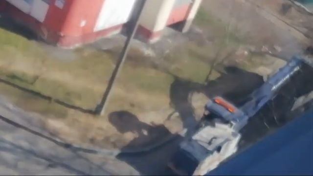 Ремонт дороги + работа дорожной фрезай смотреть онлайн