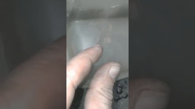 Расширительный бачок форд фокус 2 потек смотреть онлайн