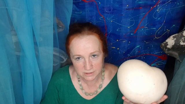 огромные дождевики грибы смотреть онлайн