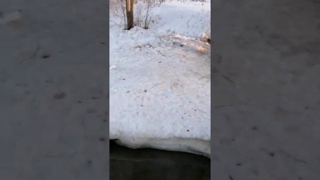 Весна пришла Утки на реке Скалба в Братовщиние Пушкинского района МО.Красота в небе от самолетов смотреть онлайн