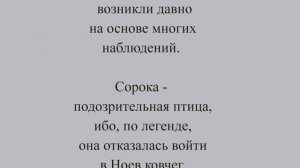 СОРОКА Приметы про сороку