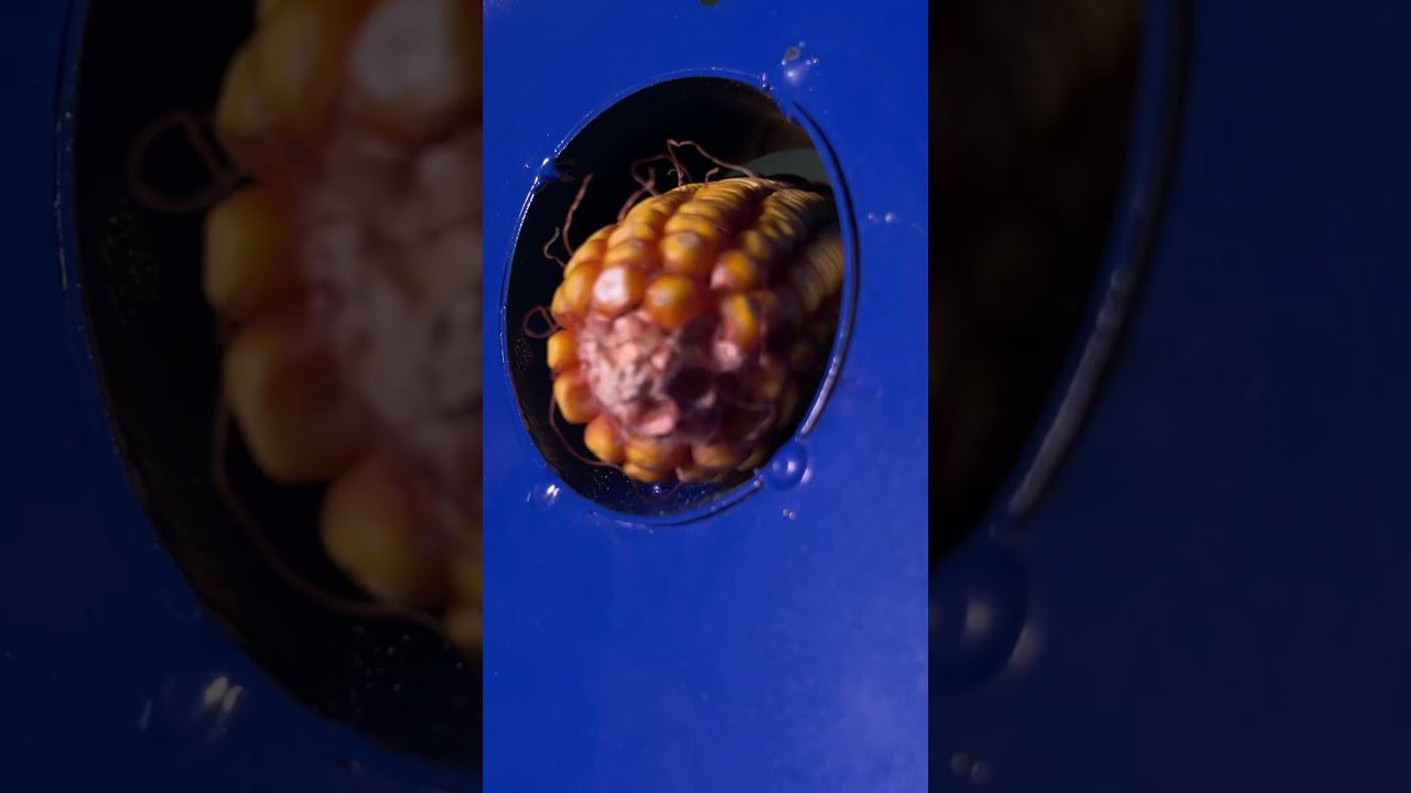 Имельчитель бытовой ELECTROLITE ИЗБ-2. Доступен к заказу на WB: 14587329 #сад смотреть онлайн