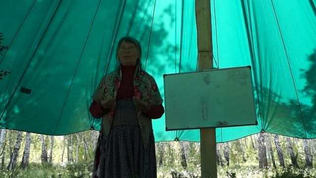Карлышева Наталья Евгеньевна, применение ТРИЗ в начальной школе, агрегатные состояния, анатомия. смотреть онлайн