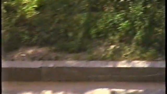 Мужики-пенсионеры играют в домино во дворе смотреть онлайн