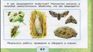 Окружающий мир. Рабочая тетрадь 3 класс 1 часть. ГДЗ стр. 57 №5