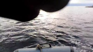 Тест мотора ямаха 5 сил четырехтактый