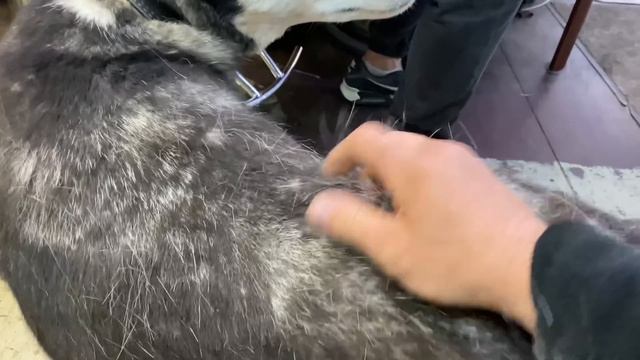 Писец я на МКАДе (Как выбрать Грузовика чтобы тебя не обманули Путешествие часть 2) смотреть онлайн