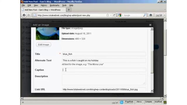 How To Insert And Format Images In WordPress смотреть онлайн