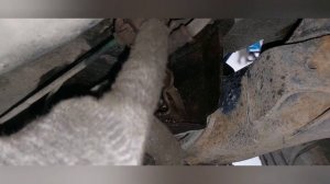 Рено Сценик 2 замена сайлентблоков задней балки.