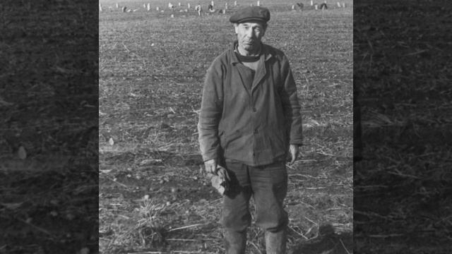 2_5217973712283768548 (1).mp4