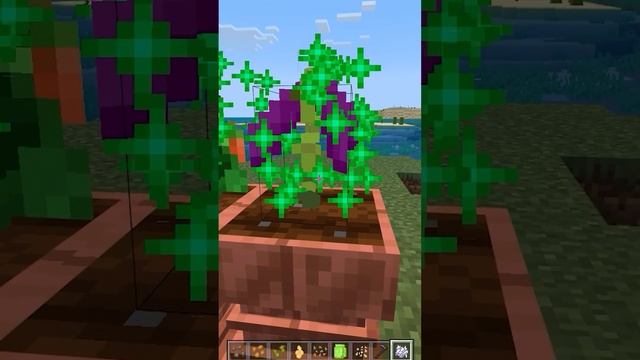 Мод "Мечта фермера" для Майнкрафт ПЕ (Бедрок) смотреть онлайн